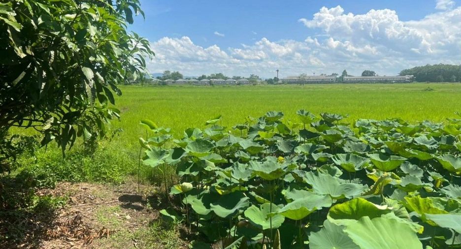 Terreno en venta en Mueang Chiang Rai, Chiang Rai