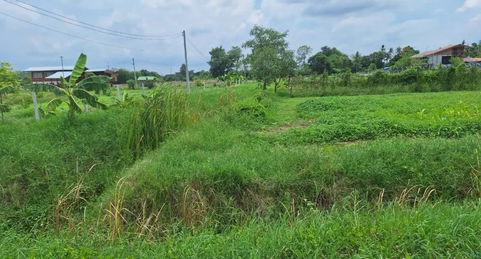 出售 2 卧室 独立屋 在 Chaloem Phra Kiat, Saraburi