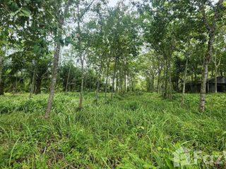 ขาย ที่ดิน ใน ถลาง, ภูเก็ต