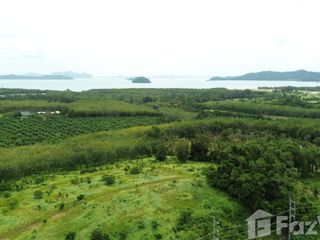 ขาย ที่ดิน ใน ถลาง, ภูเก็ต