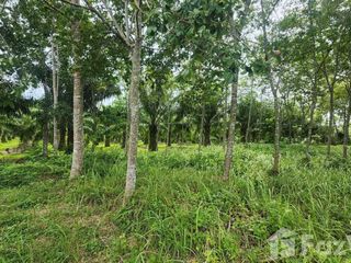 ขาย ที่ดิน ใน ถลาง, ภูเก็ต