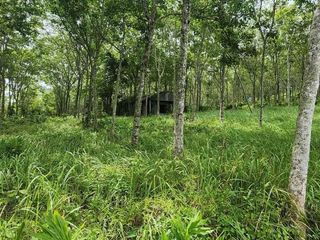 ขาย ที่ดิน ใน ถลาง, ภูเก็ต