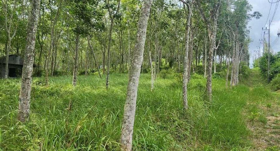 ขาย ที่ดิน ใน ถลาง, ภูเก็ต