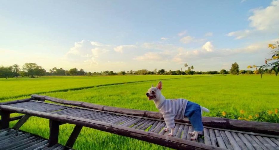 Casa en venta de 4 habitaciones en Doem Bang Nang Buat, Suphan Buri