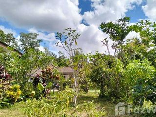 Haus zum Kauf mit 2 Zimmer in Mueang Chiang Rai, Chiang Rai