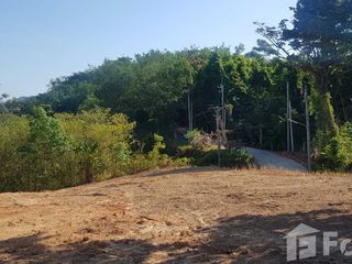 For sale land in Mueang Phuket, Phuket