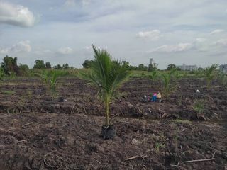 À vendre terrain à Bang Bo, Samut Prakan