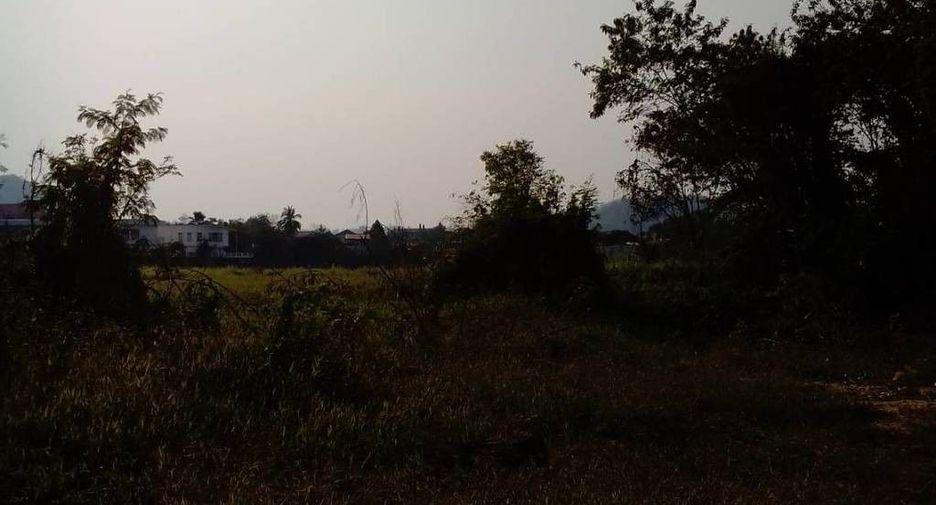 For sale land in Mueang Loei, Loei