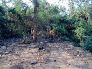 Продажа Участок в Mueang Loei, Loei