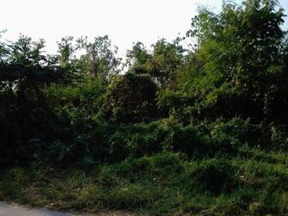Продажа Участок в Mueang Loei, Loei