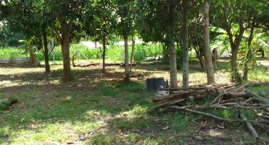 Haus zum Kauf und zur Miete mit 3 Zimmer in Mueang Buriram, Buriram
