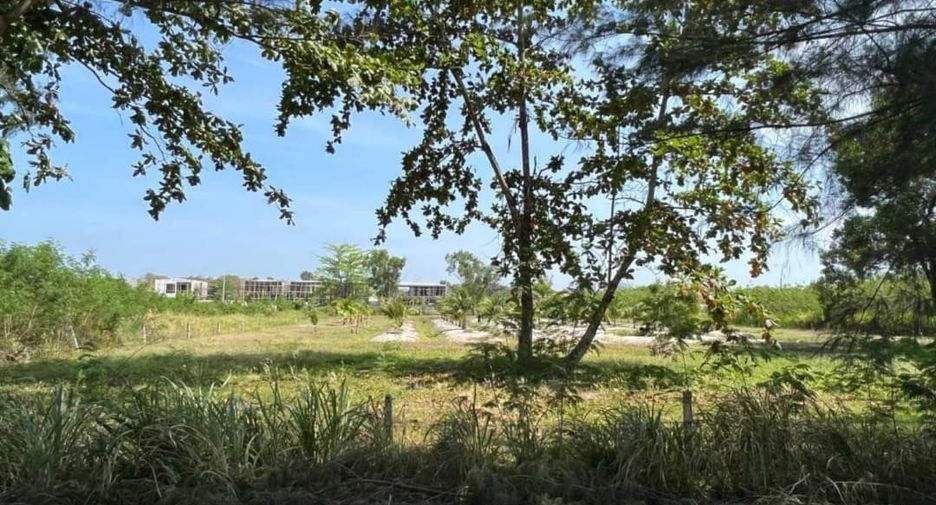 For sale land in Mueang Phuket, Phuket