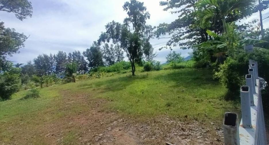 For sale land in Mueang Phuket, Phuket