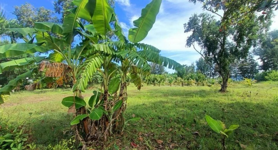 For sale land in Mueang Phuket, Phuket