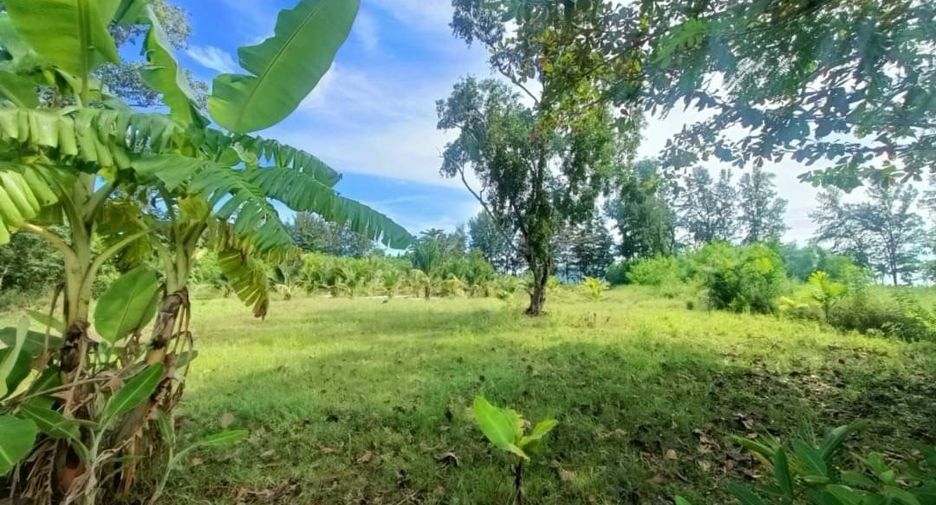 For sale land in Mueang Phuket, Phuket