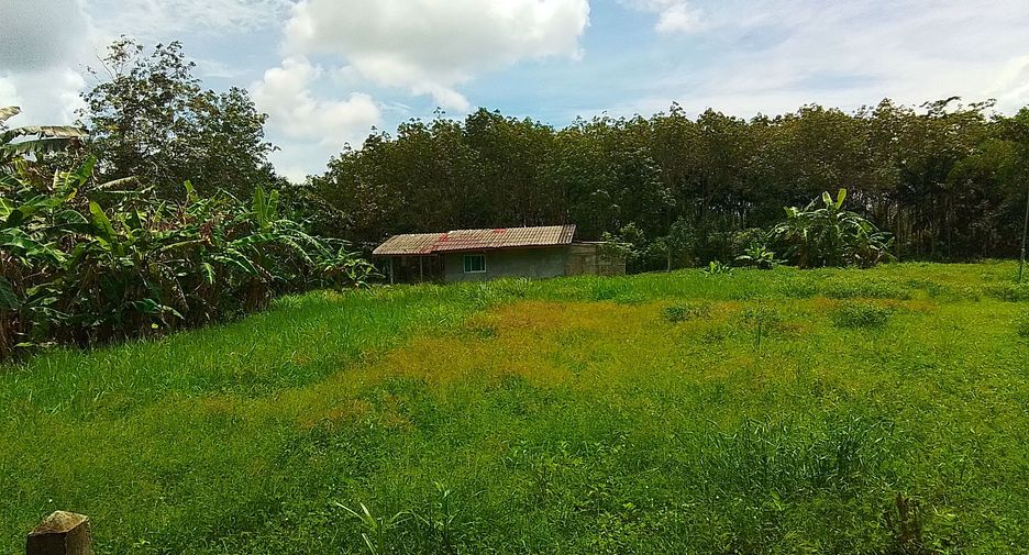 ขาย ที่ดิน ใน ถลาง, ภูเก็ต