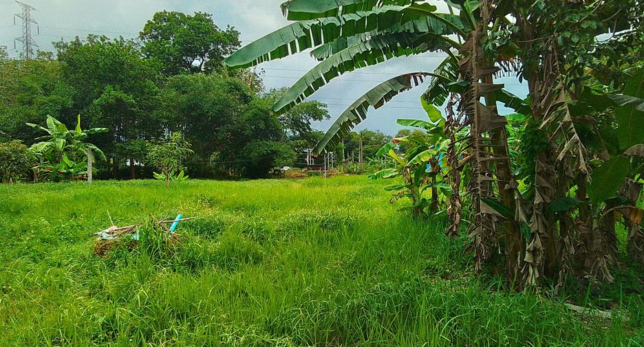 ขาย ที่ดิน ใน ถลาง, ภูเก็ต