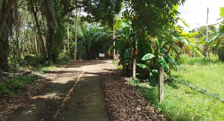 ขาย ที่ดิน ใน ถลาง, ภูเก็ต