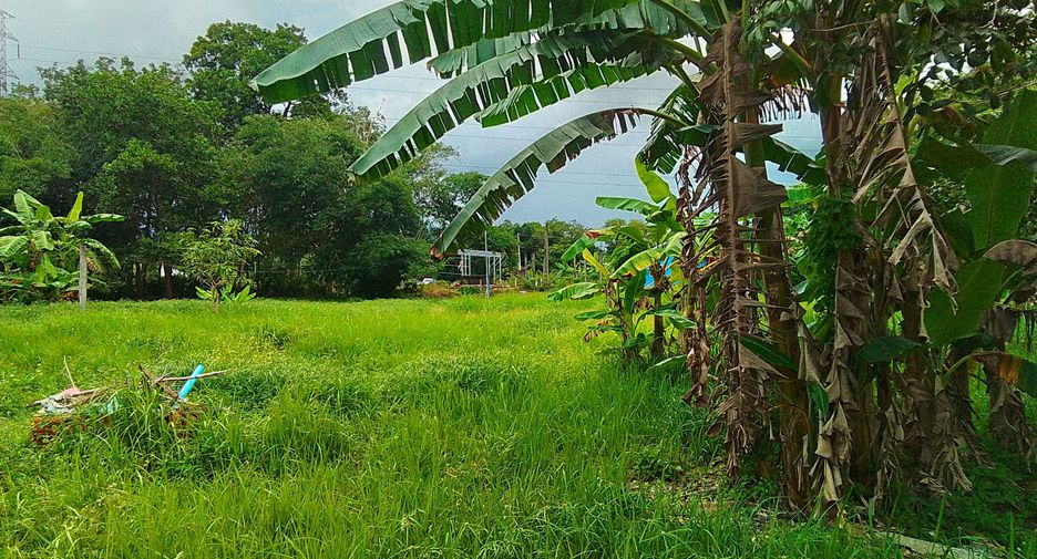 ขาย ที่ดิน ใน ถลาง, ภูเก็ต