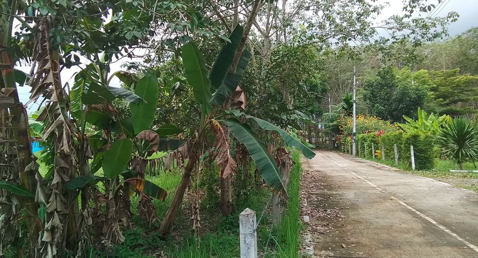 ขาย ที่ดิน ใน ถลาง, ภูเก็ต