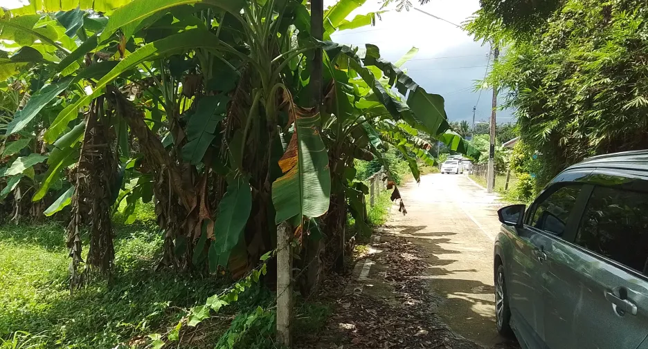 ขาย ที่ดิน ใน ถลาง, ภูเก็ต