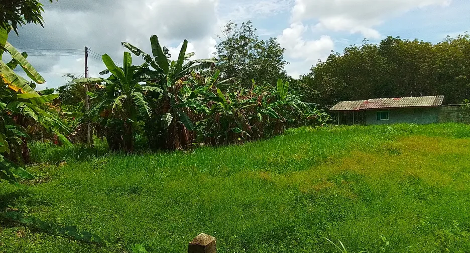 ขาย ที่ดิน ใน ถลาง, ภูเก็ต