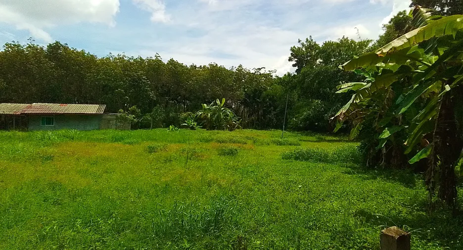 ขาย ที่ดิน ใน ถลาง, ภูเก็ต