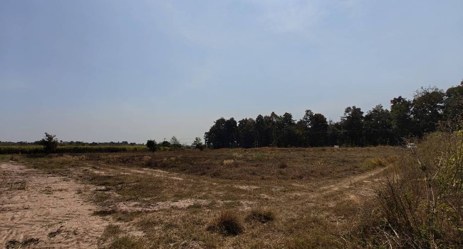 ขาย ที่ดิน ใน น้ำพอง, ขอนแก่น