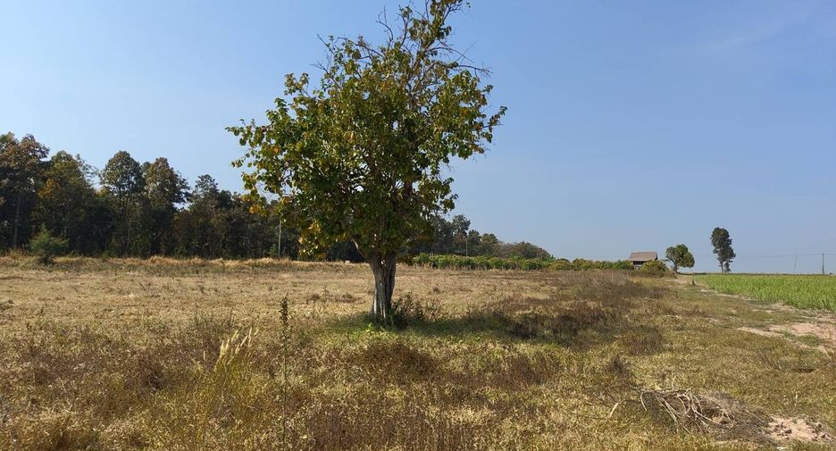 For sale land in Nam Phong, Khon Kaen