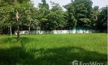 For sale land in Thawi Watthana, Bangkok
