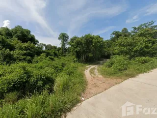ขาย ที่ดิน ใน ทุ่งตะโก, ชุมพร