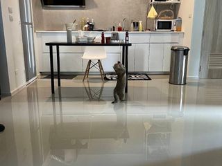For sale 3 bedrooms house in Sai Mai, Bangkok