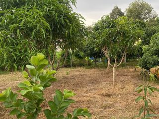 出售 土地 在 Ban Chang, Rayong