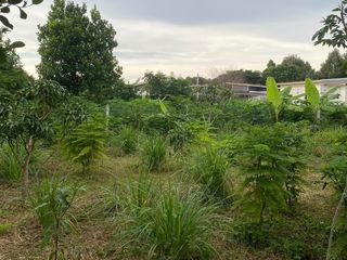 For sale land in Ban Chang, Rayong