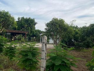 出售 土地 在 Ban Chang, Rayong