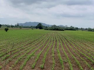 Продажа Участок в Chaloem Phra Kiat, Saraburi
