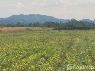 ขาย ที่ดิน ใน เฉลิมพระเกียรติ, สระบุรี