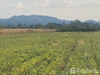 Продажа Участок в Chaloem Phra Kiat, Saraburi