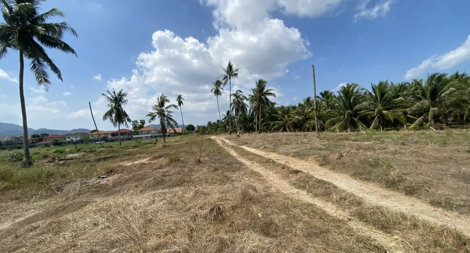 For sale land in Mueang Phuket, Phuket