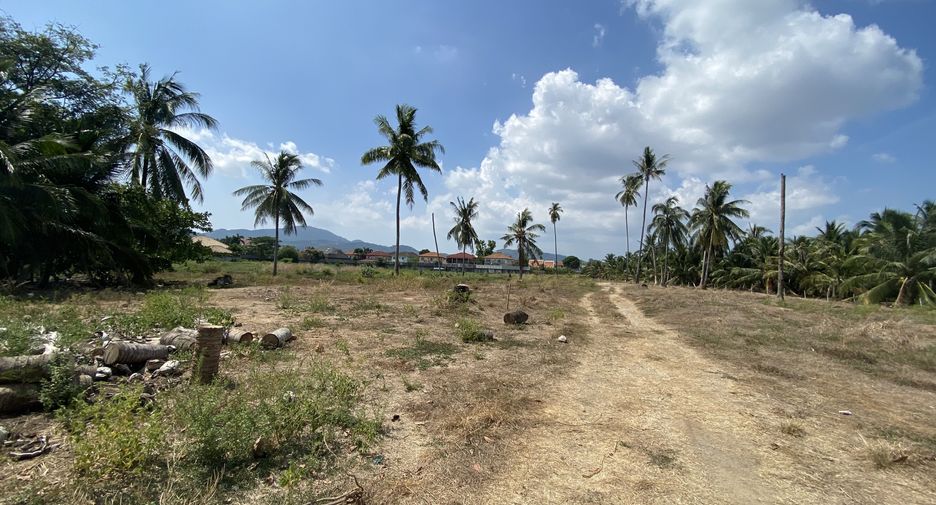 For sale land in Mueang Phuket, Phuket