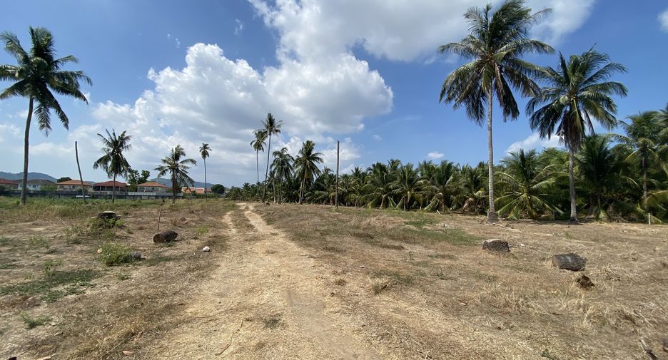 For sale land in Mueang Phuket, Phuket