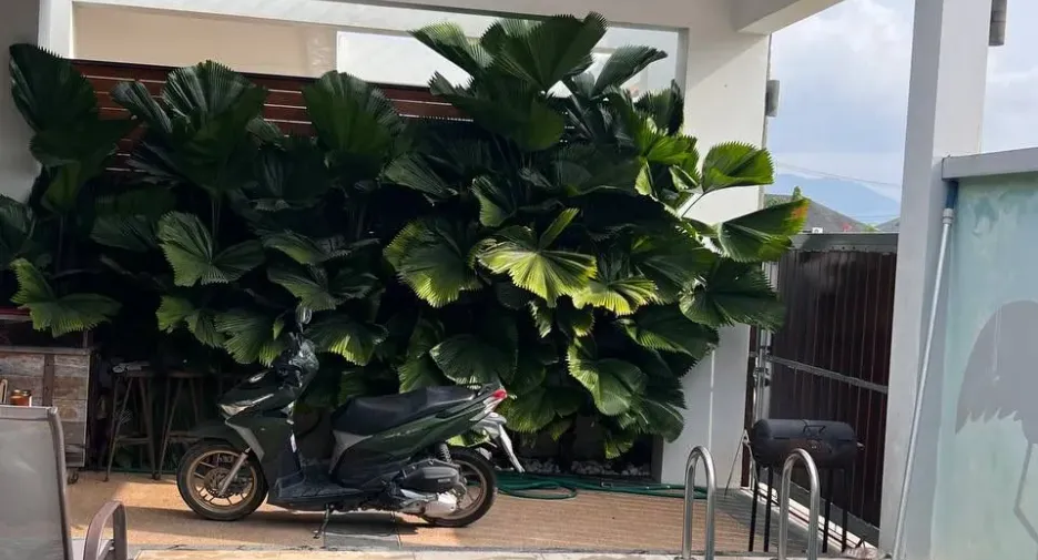 For rent 2 bedrooms villa in Thalang, Phuket