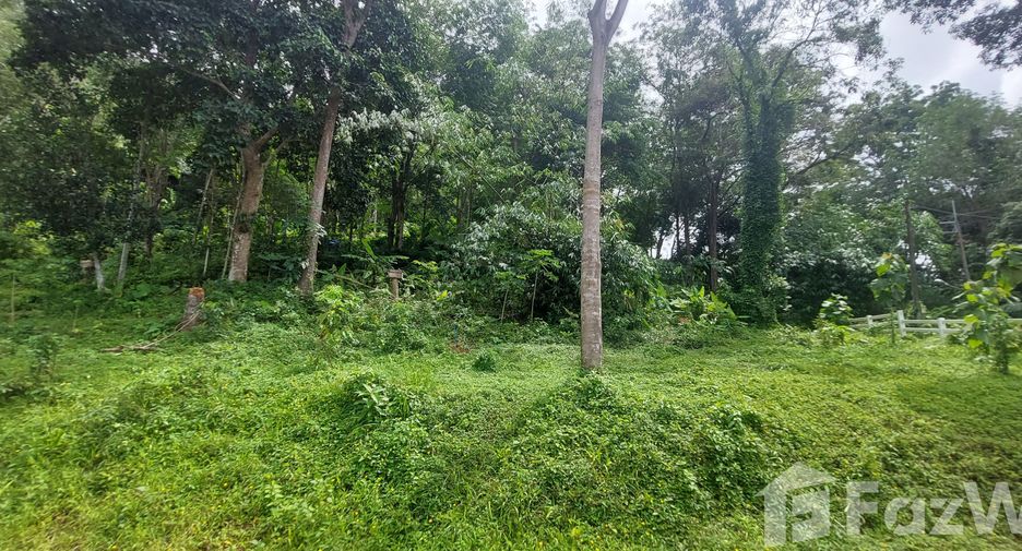 ขาย ที่ดิน ใน เมืองภูเก็ต, ภูเก็ต