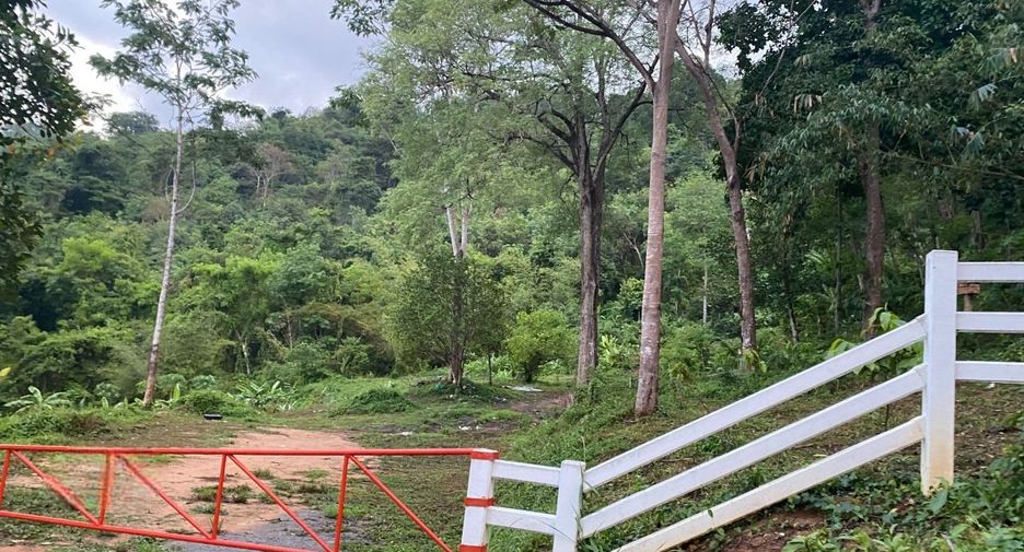 ขาย ที่ดิน ใน เมืองภูเก็ต, ภูเก็ต
