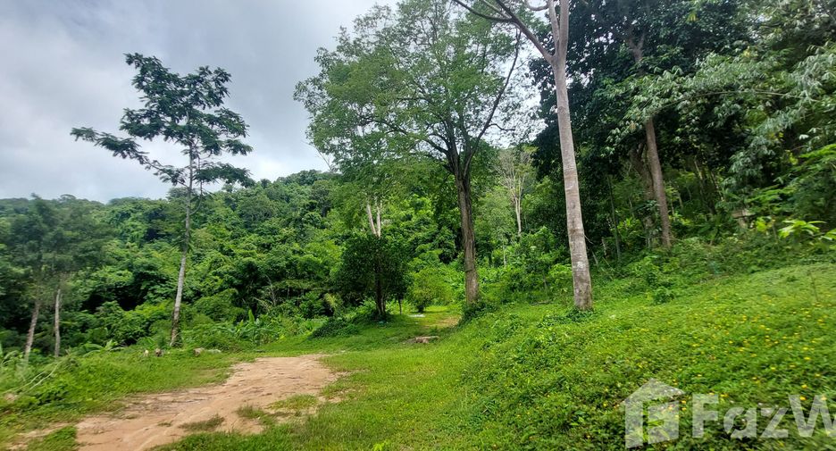 ขาย ที่ดิน ใน เมืองภูเก็ต, ภูเก็ต