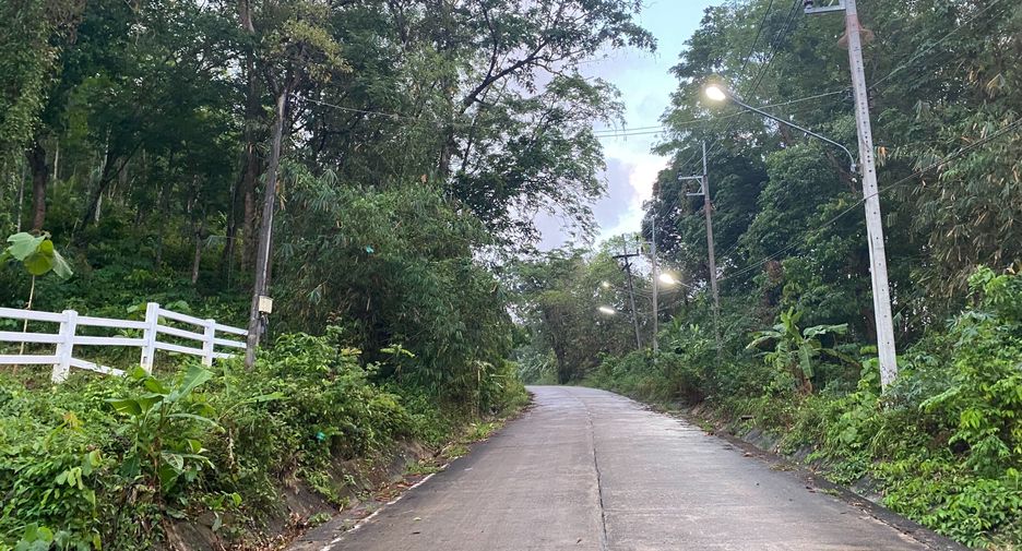 ขาย ที่ดิน ใน เมืองภูเก็ต, ภูเก็ต