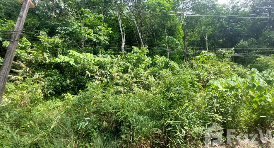 ขาย ที่ดิน ใน เมืองภูเก็ต, ภูเก็ต