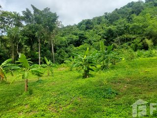 For sale land in Mueang Phuket, Phuket