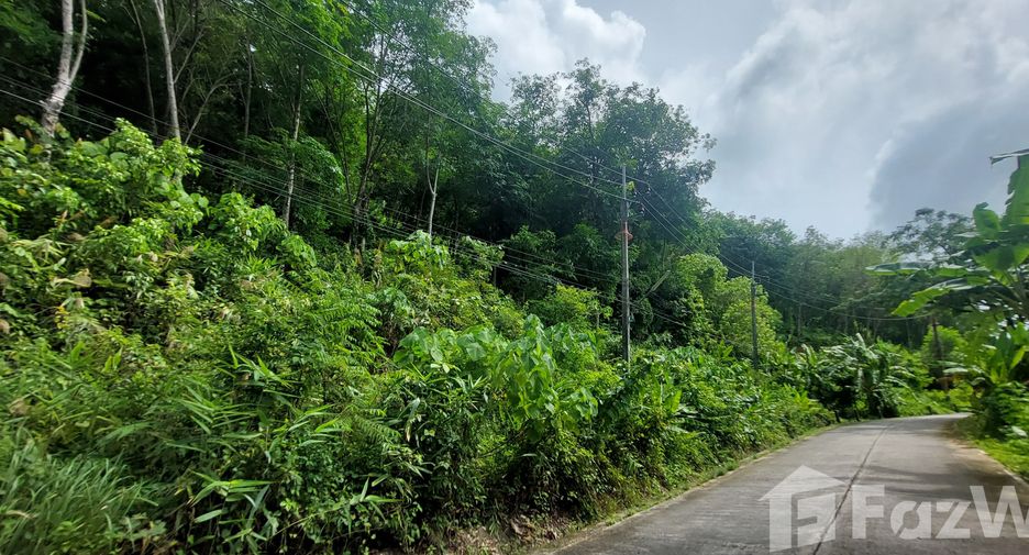 ขาย ที่ดิน ใน เมืองภูเก็ต, ภูเก็ต