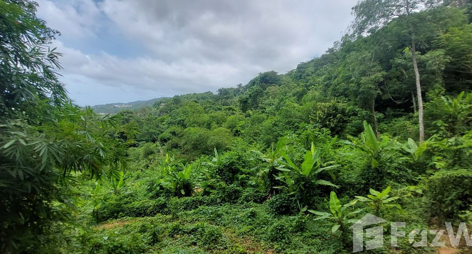 ขาย ที่ดิน ใน เมืองภูเก็ต, ภูเก็ต